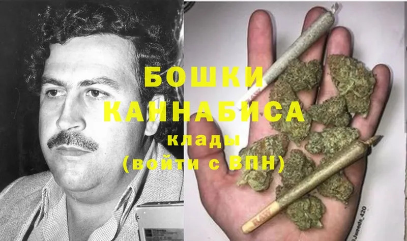 купить  сайты  Тара  Марихуана OG Kush 